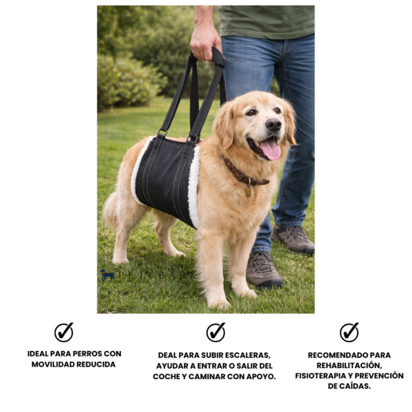Arnés De Soporte Para Perro Elevación De Cadera