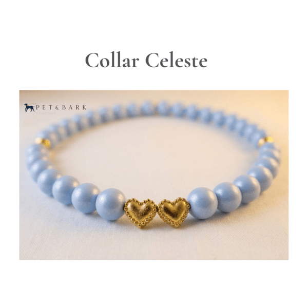 Collar Celeste