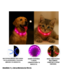 Collar Led color Rosa para Perros Descripción del producto Combo Día de Parque