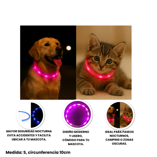 Collar Led color Rosa para Perros Descripción del producto Combo Día de Parque