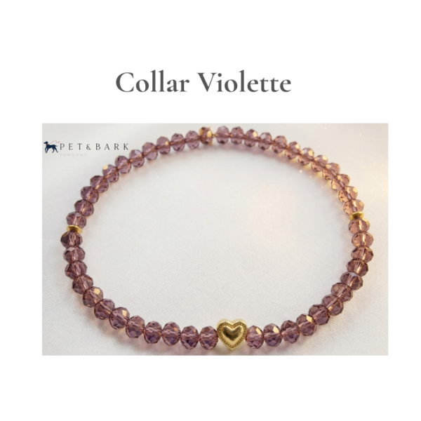 Collar color Violette Collar Violette
