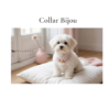 Collar Bijou