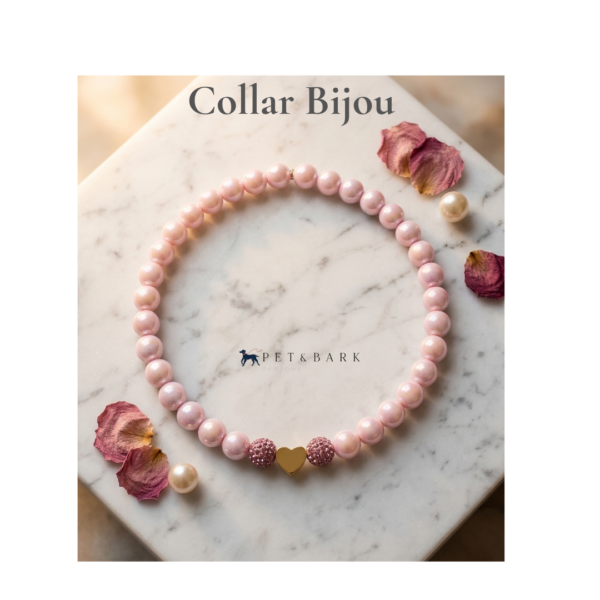 Collar Bijou