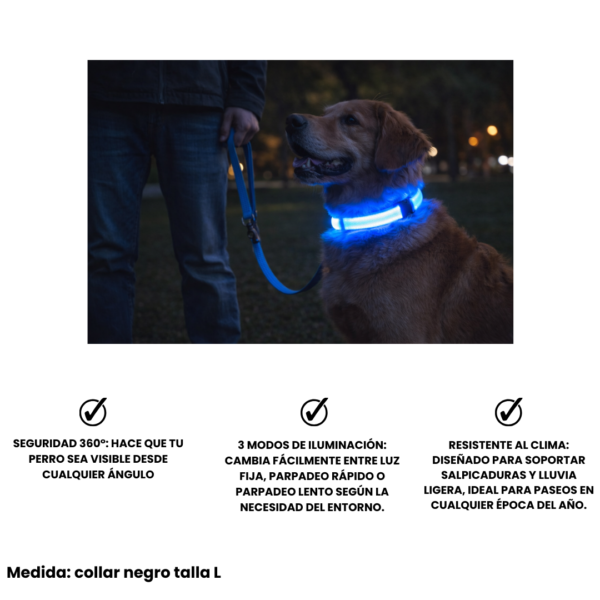 Collar led color negro descripcion del producto Combo Día de Parque