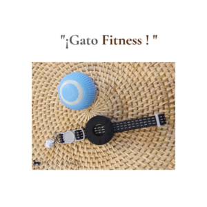 Combo de pelota interactiva color azul y collar antiperdidas color negro para gato Combo Gato Fitness