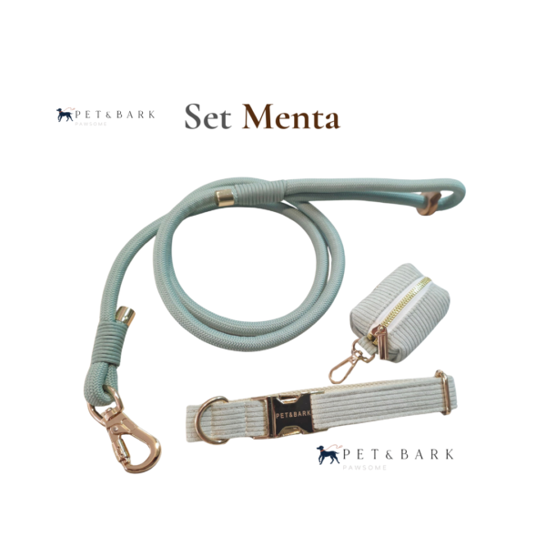 Conjunto de correa, collar y porta bolsas de tela para perro color menta 2 Set Menta