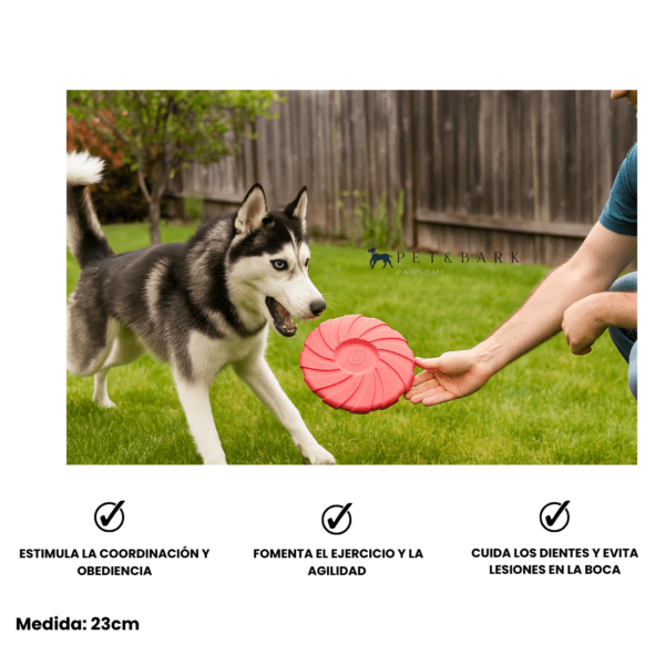 Fresbee color rojo descripción del producto Combo Día de Parque