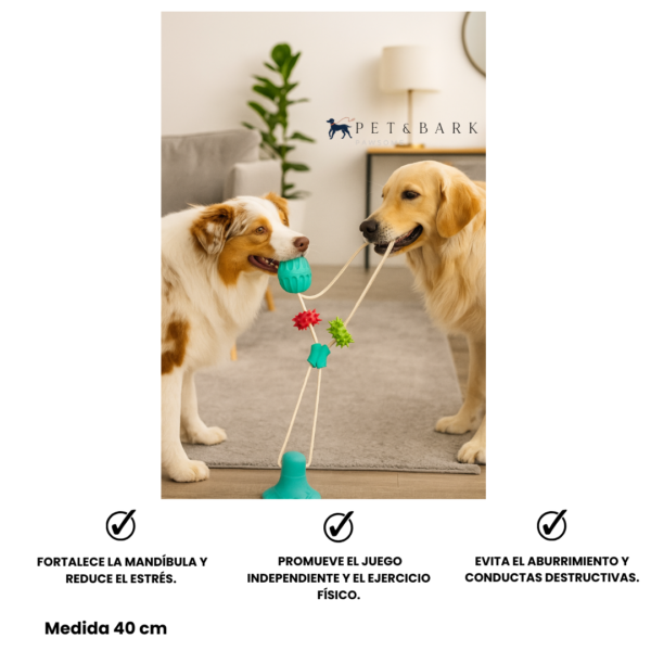 Juguete Interactivo con Ventosa y Cuerda para Perros