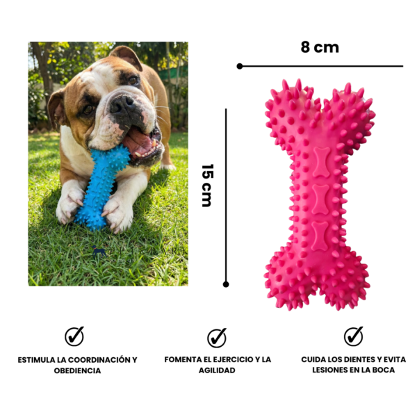 Juguete Resistente en Forma de Hueso