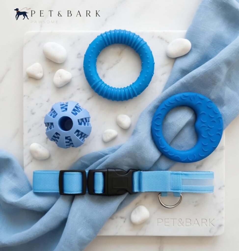 Océano juguete y collar para perro color azul