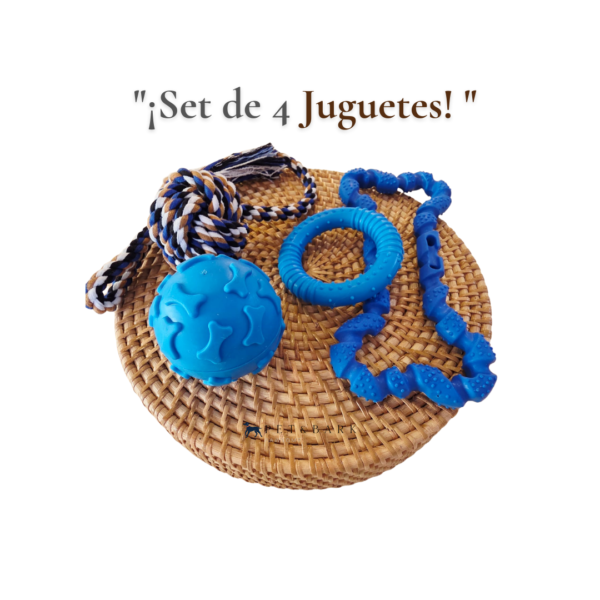 Set 4 Juguetes de Caucho para Perro