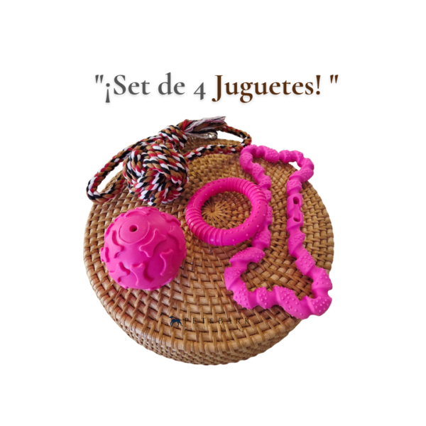 Set 4 Juguetes de Caucho para Perro