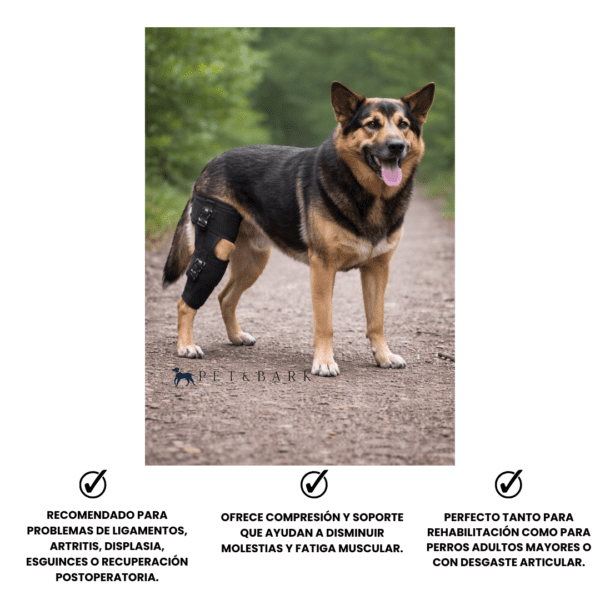 Soporte Ortopédico de Rodilla Ajustable