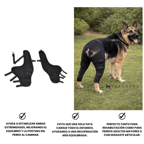 Soporte Doble Para Patas Traseras De Perro