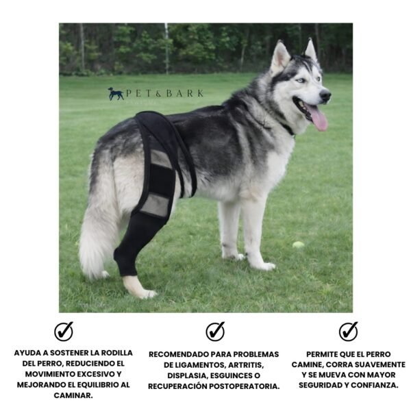 Soporte De Articulación Y Ligamentos Ajustable