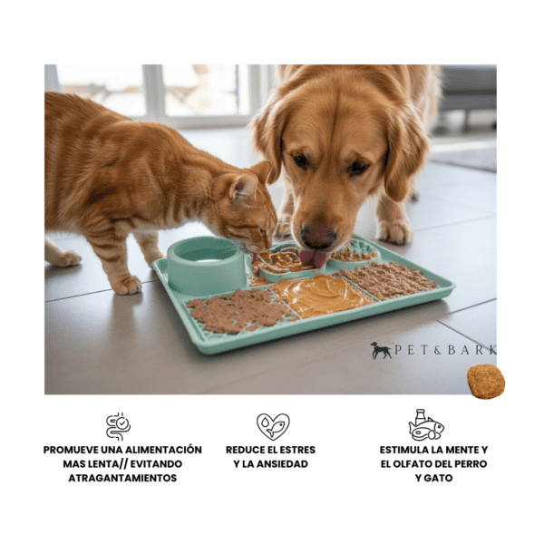 Tapete Interactivo, Perros y Gatos