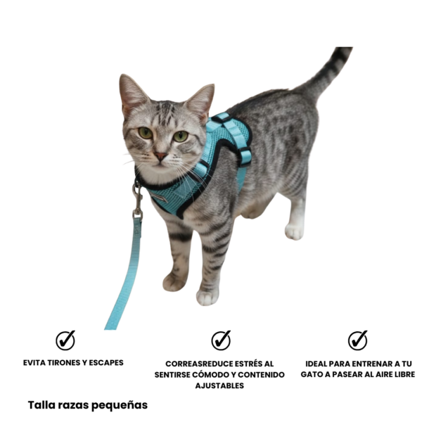 Combo Explorador Seguro