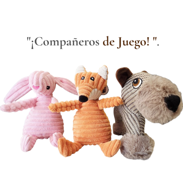 Set Compañeros de Juego