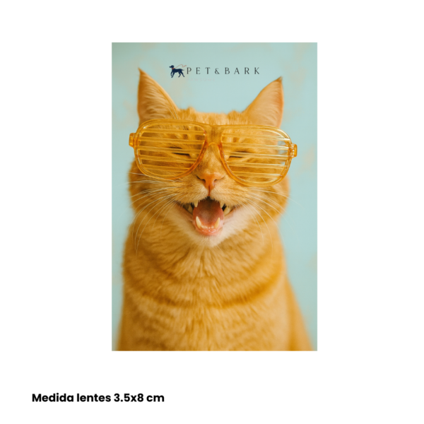lentes para gato medidas Combo Zen