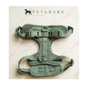 Arnés para Perro Acolchado Verde Claro Ajustable y Resistente Pet & Bark Arnés Verde Claro