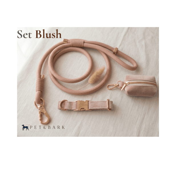 Conjunto de correa, collar y porta bolsas de tela para perro color Blush 1 Set Blush