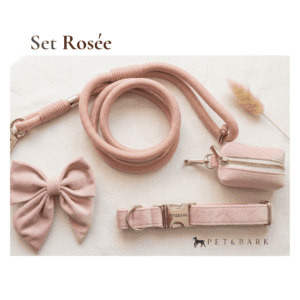 Set Rosée set terciopelo, collar, correa, moño, bolsita pet&bark Set Rosée - M