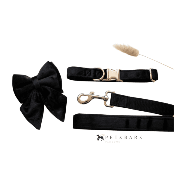 Set Soirée - M